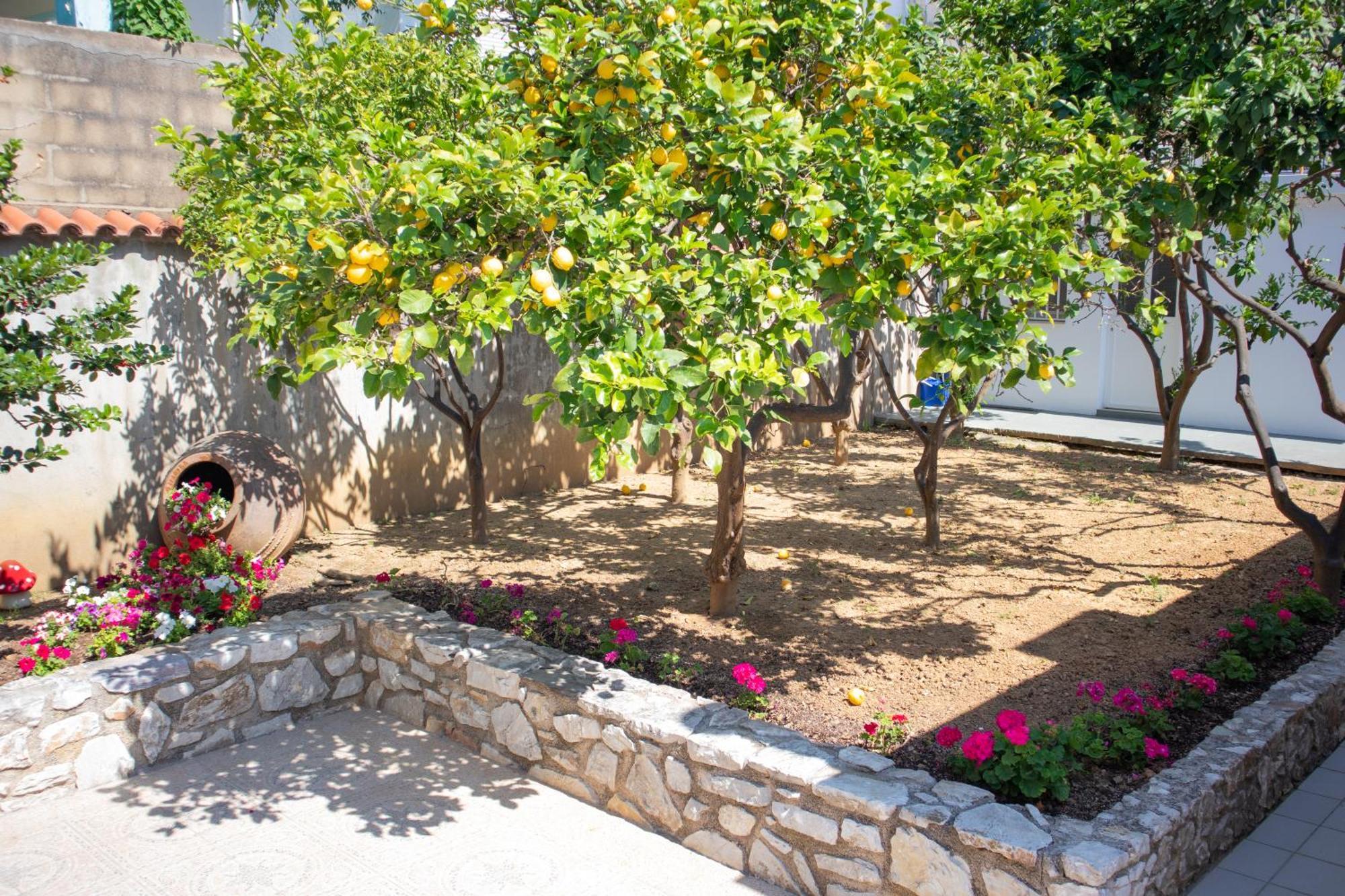 Athanasia Apartments Skiathos-Stadt Exterior foto